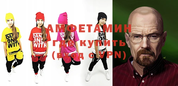 индика Дмитровск