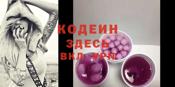 индика Дмитровск