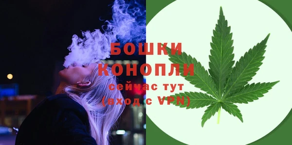 индика Дмитровск