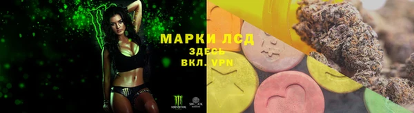 индика Дмитровск