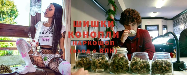 индика Дмитровск