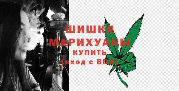 индика Дмитровск