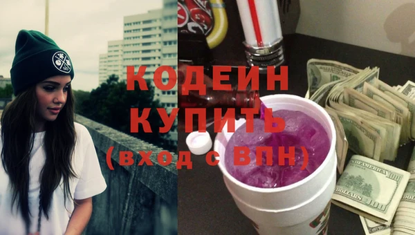 индика Дмитровск