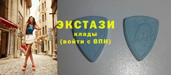 индика Дмитровск