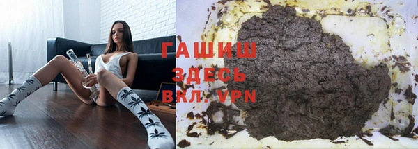 индика Дмитровск