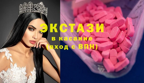 индика Дмитровск