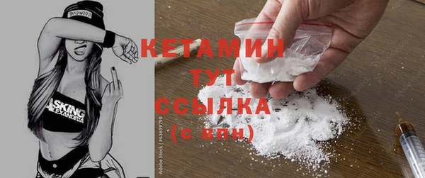 индика Дмитровск