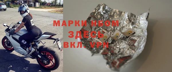 индика Дмитровск