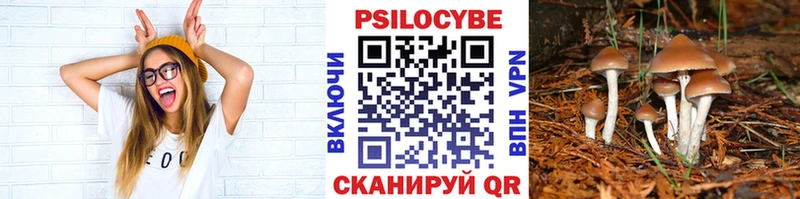 Псилоцибиновые грибы прущие грибы  Волгодонск 